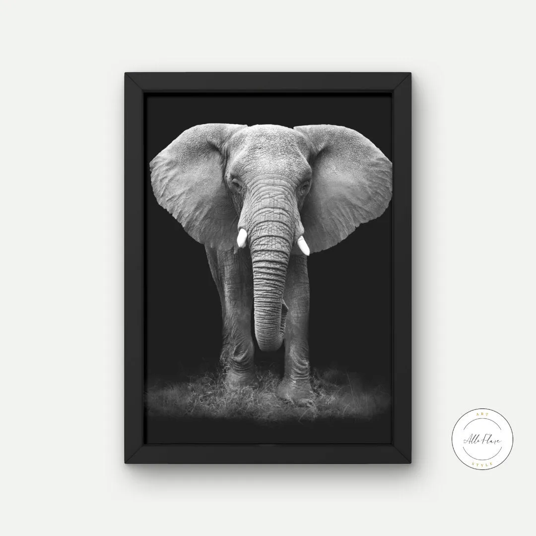 Black And White Elephant Poster PRINTABLE ART, Cool Poster, Wilderness Photography, Scandinavian Style, Animal Wall Art, Nature Inspired, Black And White Animal Poster