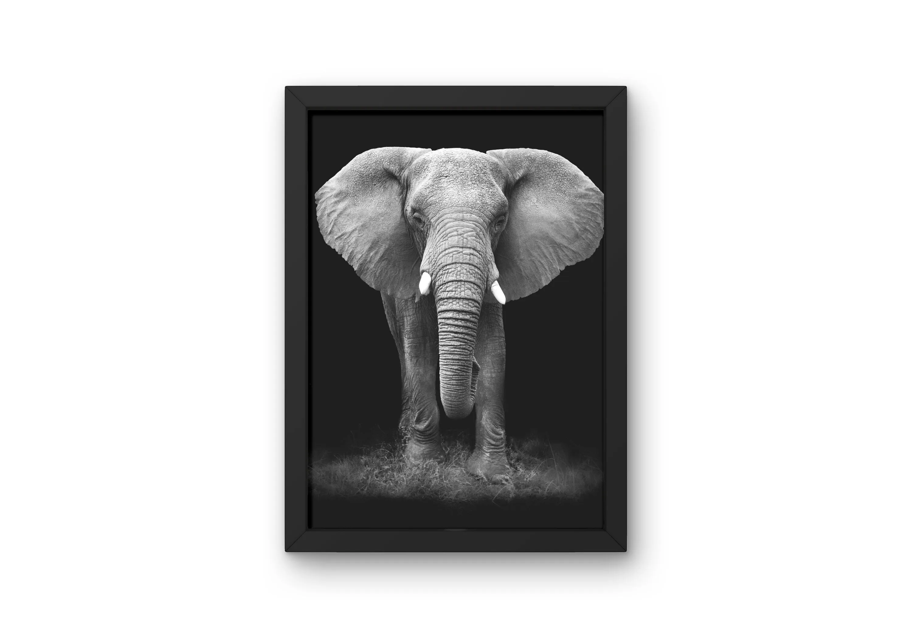 Black And White Elephant Poster PRINTABLE ART, Cool Poster, Wilderness Photography, Scandinavian Style, Animal Wall Art, Nature Inspired, Black And White Animal Poster