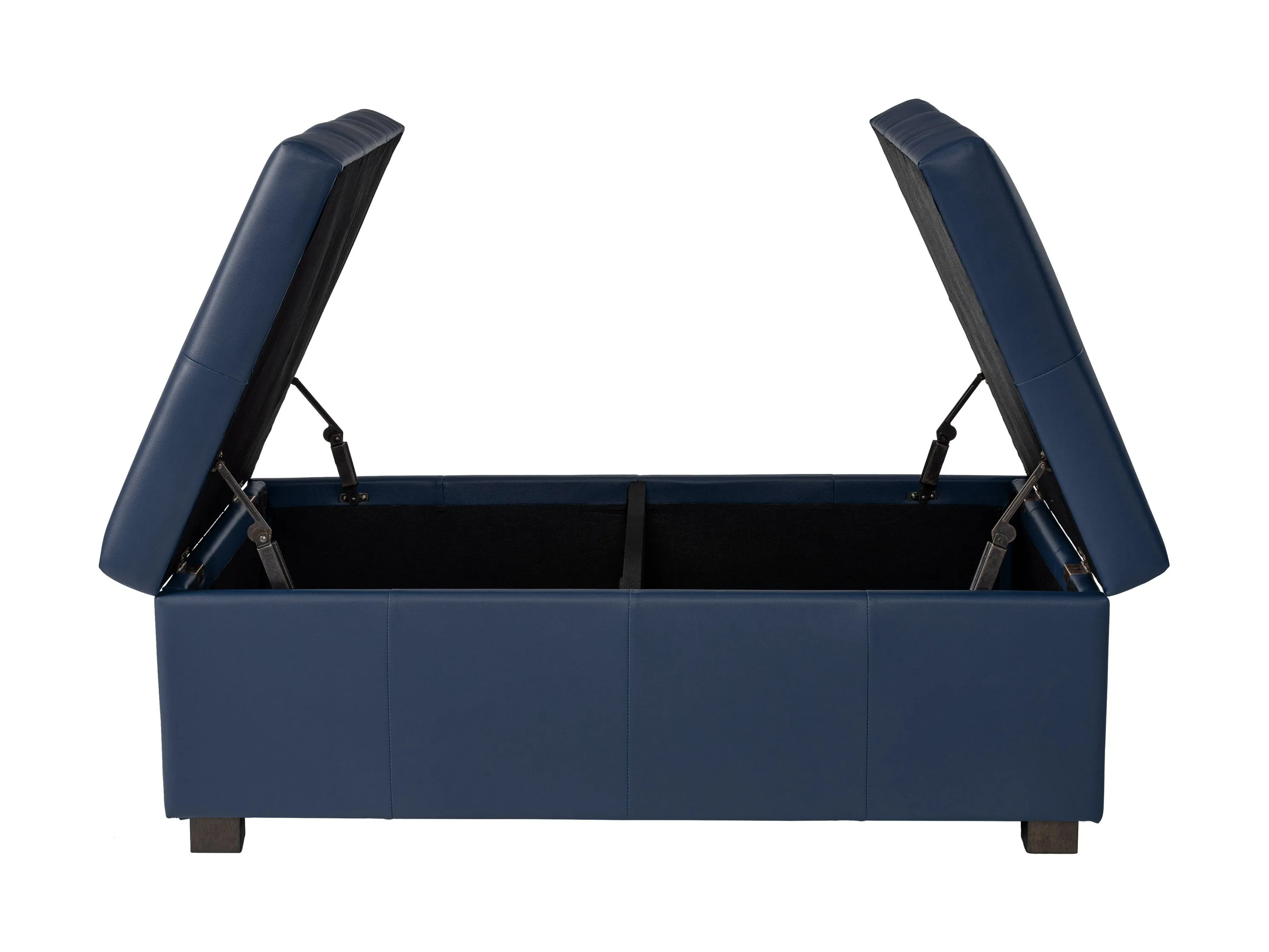 Blue Deluxe Storage Ottoman