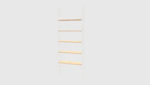 Branch Shelves with Brackets 5-Pack