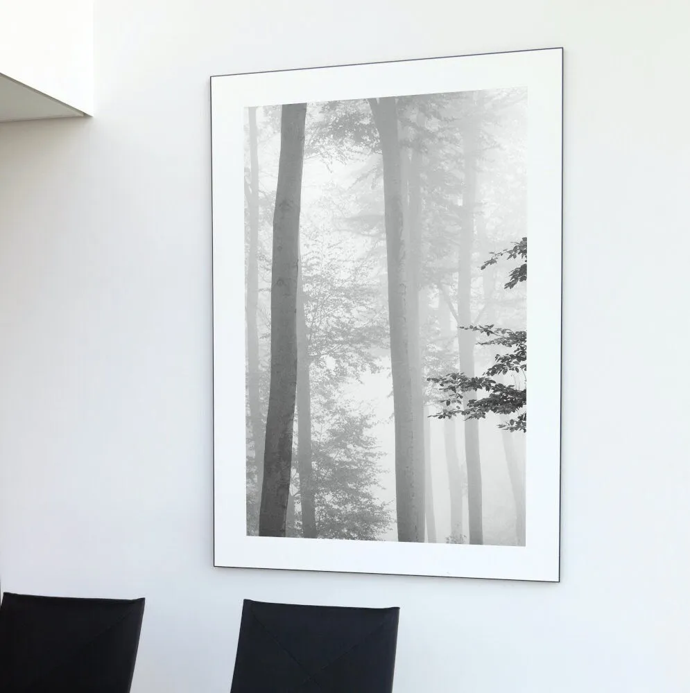 Misty Forest Black And White Nature Wall Art PRINTABLE ART, Indie Poster, Black And White Photography Wall Art, Foggy Forest Wall Art, Alternative