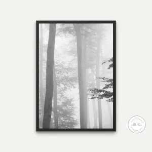 Misty Forest Black And White Nature Wall Art PRINTABLE ART, Indie Poster, Black And White Photography Wall Art, Foggy Forest Wall Art, Alternative